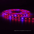 24 volt led grow strip light led strip hydroponic full spectrum led grow light